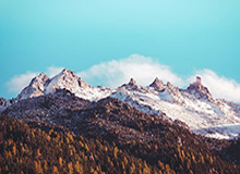 世界杯高清入口-记者：曼城vs狼队裁判哈利姆未被取消英超执法资格